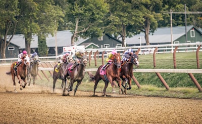 people riding horses on brown field during daytime