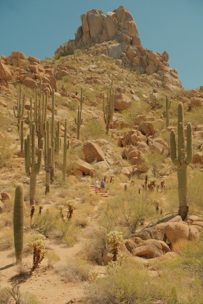 Cacti and rocky mountain landscape on a sunny day