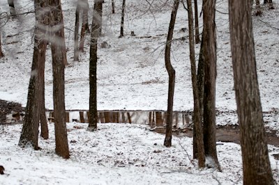 brown wooden fence on snow covered ground