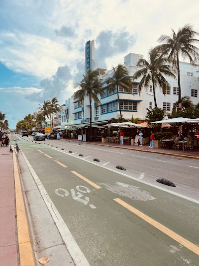 A city street lined with palm trees and shops