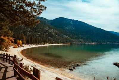 seashore during daytime