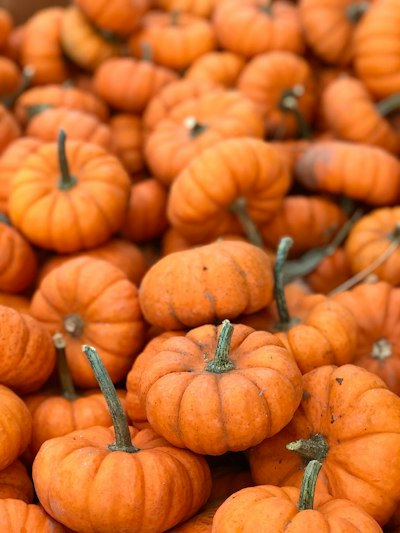 a pile of pumpkins
