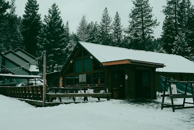 Snowy cabin surrounded by trees on a cold day