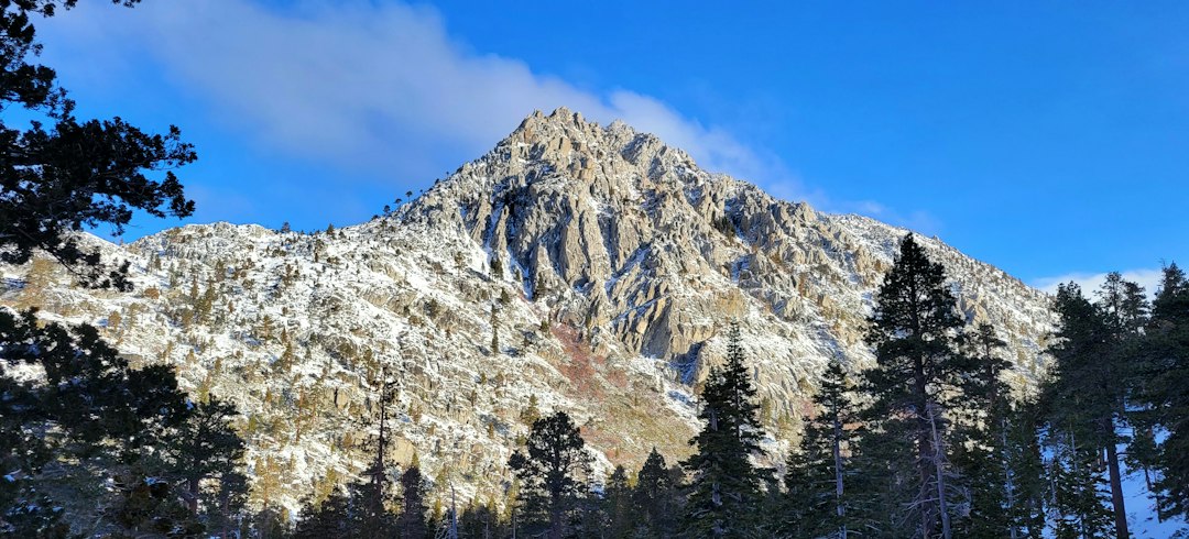 Tahoe City landscape