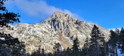 green trees near mountain under blue sky during daytime