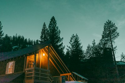 Cozy cabin illuminated amidst tall, dark trees