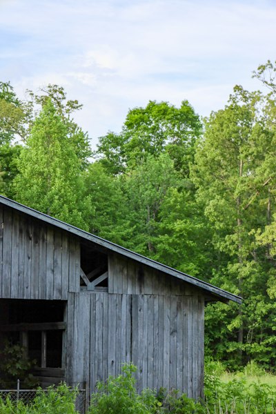 a wooden building with trees in the back