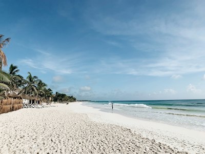 green palm trees on white sand beach during daytime