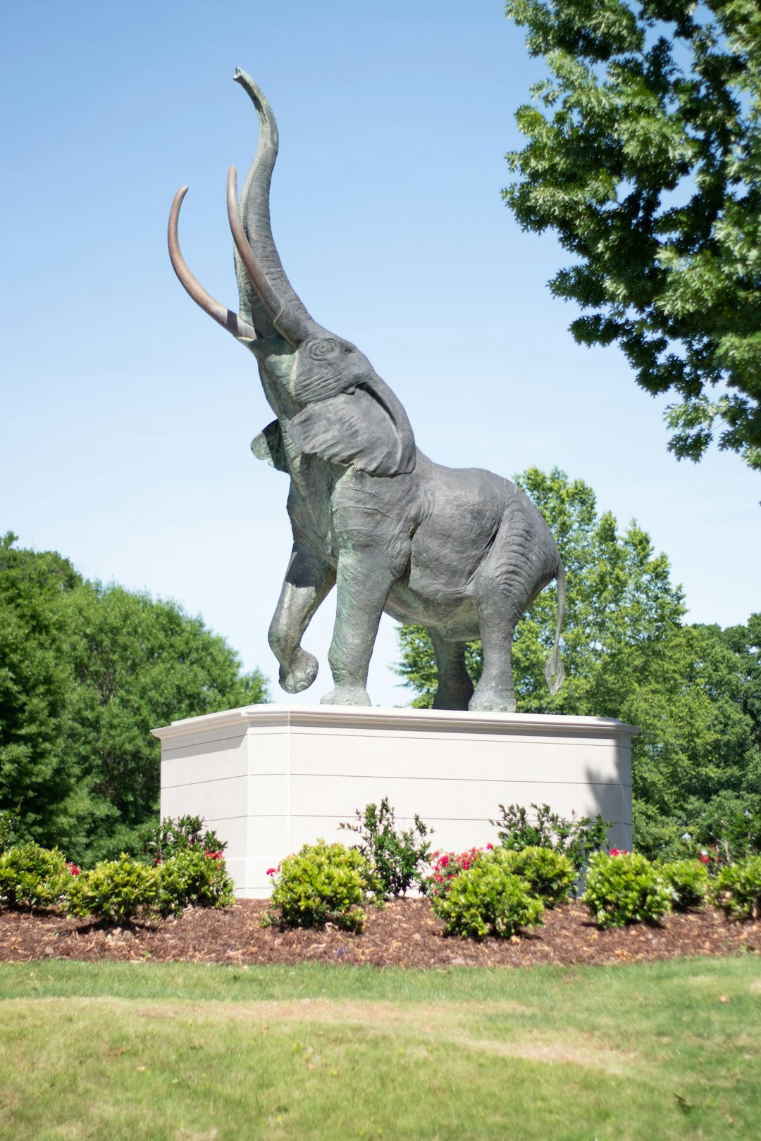 Tuscaloosa landscape