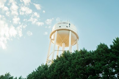 a water tower surrounded by trees