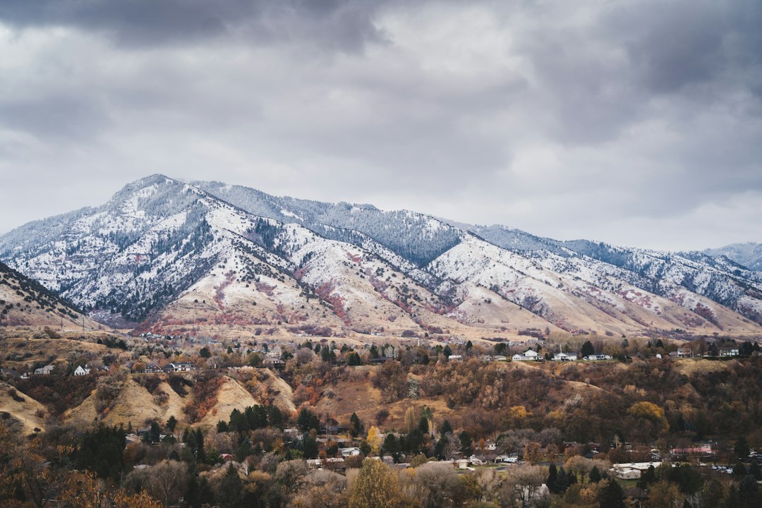 Vernal landscape