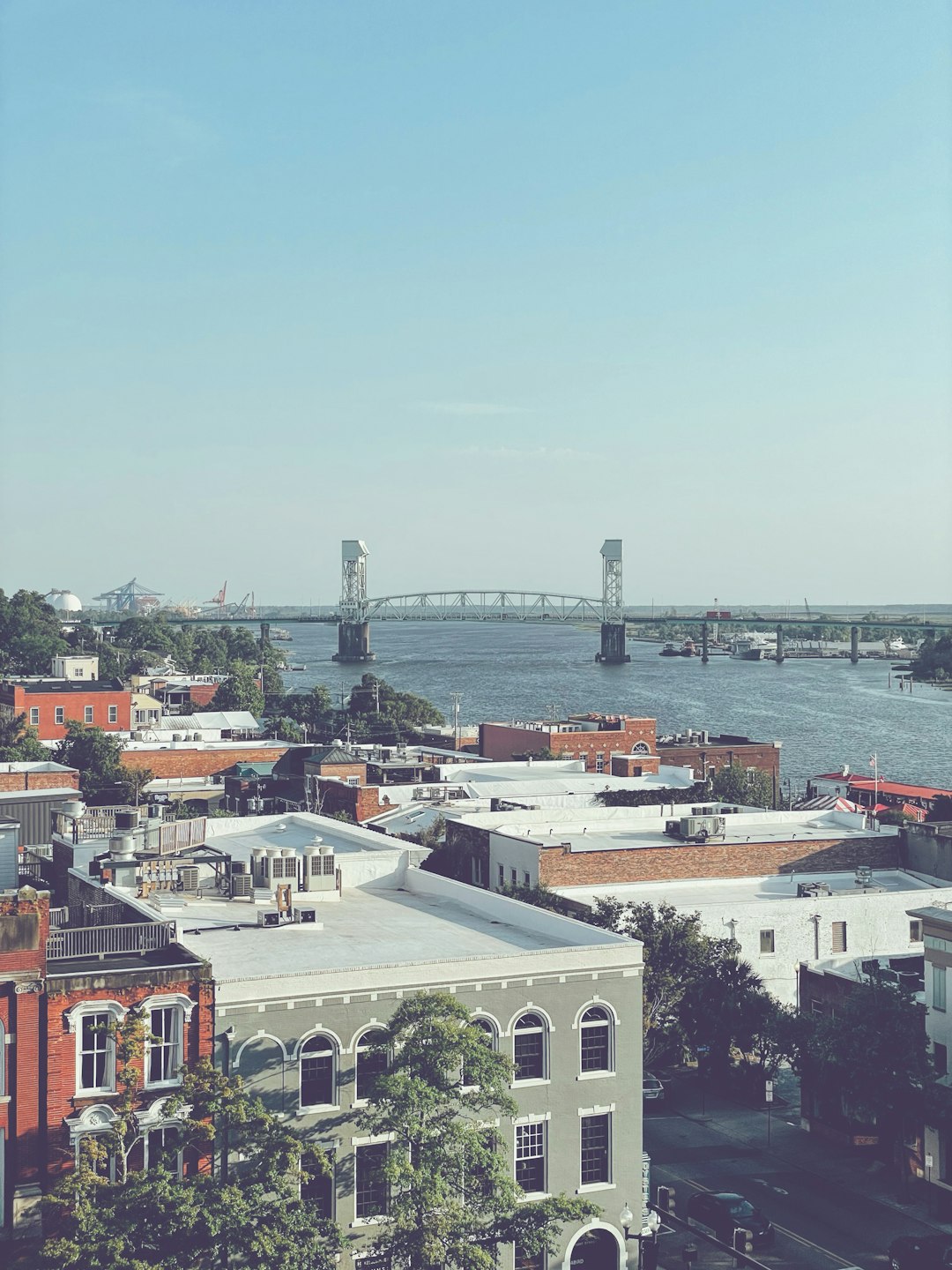 Wilmington landscape
