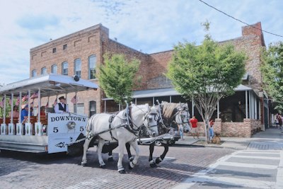 white horse with carriage on street during daytime