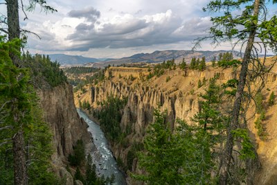 a river running through a canyon surrounded by tall trees