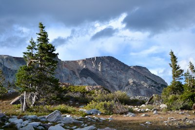 a mountain range with trees and rocks in the foreground