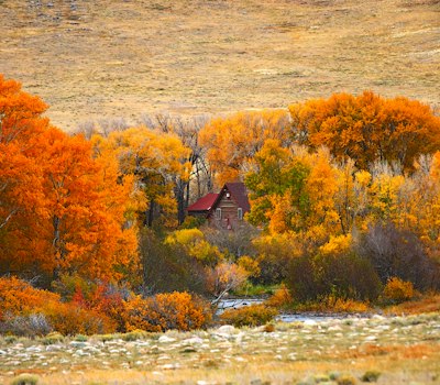 a house in the middle of a field surrounded by trees