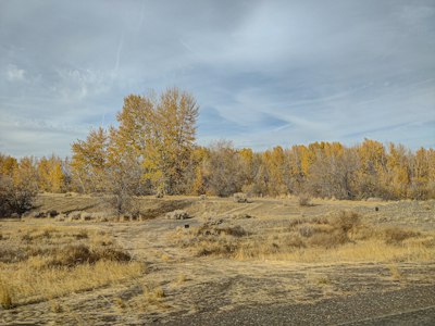 A dirt field with trees in the background